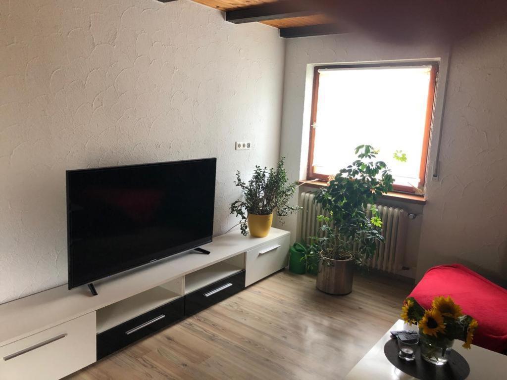 Ferienwohnung Zur Sonnenterasse In Gersbach ショップハイム エクステリア 写真