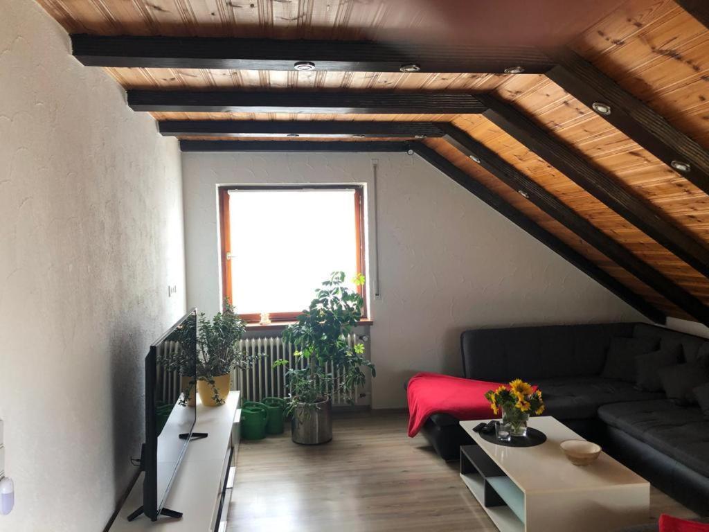 Ferienwohnung Zur Sonnenterasse In Gersbach ショップハイム エクステリア 写真